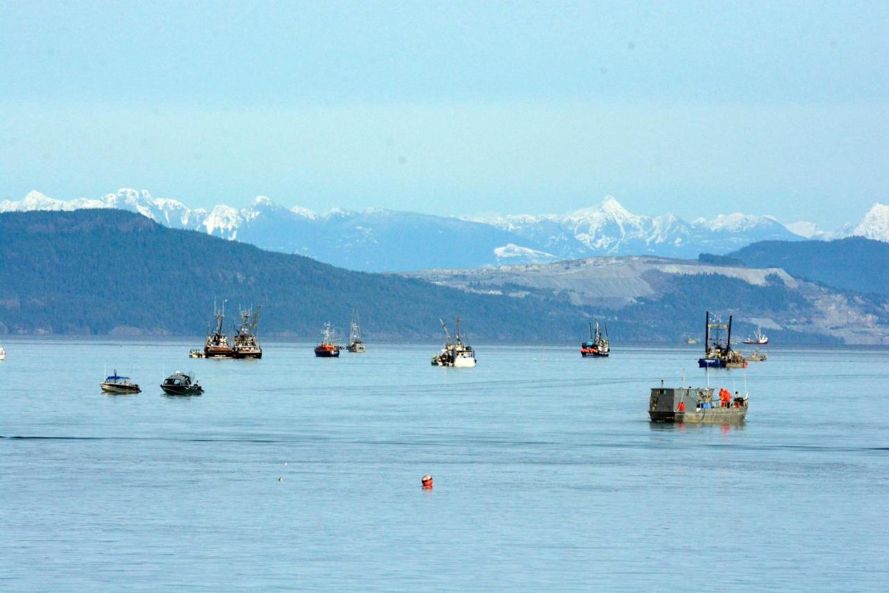 Oceanfront Paradise Comox Buitenkant foto