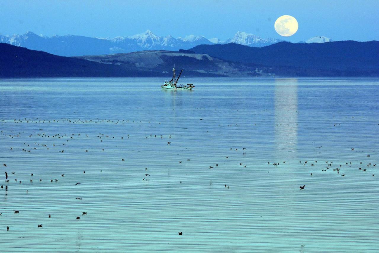 Oceanfront Paradise Comox Buitenkant foto