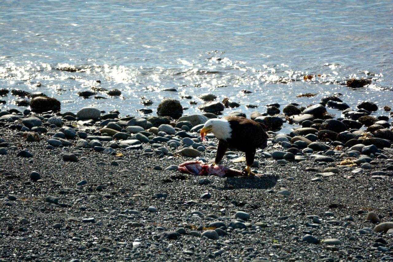 Oceanfront Paradise Comox Buitenkant foto